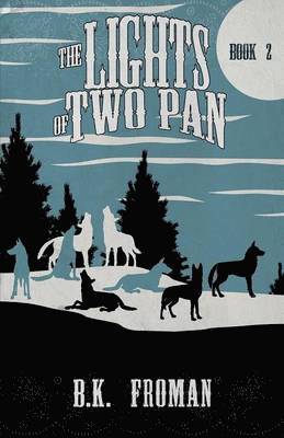 B K Froman - Lights of Two Pan, Häftad