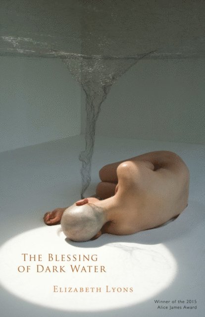 Elizabeth Lyons - Blessing of Dark Water, E-bok