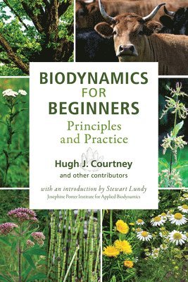 Hugh J. Courtney, Stewart Lundy - Biodynamics for Beginners, Häftad