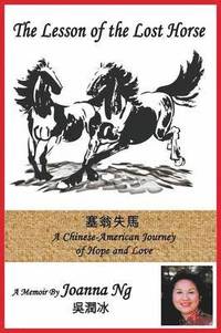 Lesson of the Lost Horse