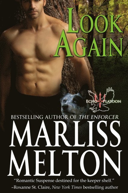 Marliss Melton - Look Again, E-bok