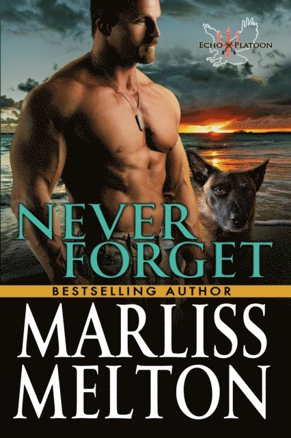 Marliss Melton - Never Forget, E-bok