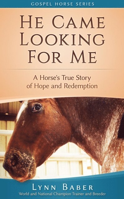 Lynn Baber - He Came Looking For Me - A Horse's True Story of Hope and Redemption, E-bok