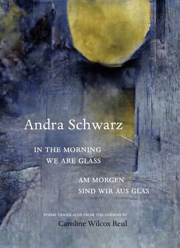 Andra Schwarz - In the morning we are glass, Häftad