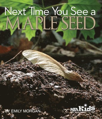 Emily Morgan - Next Time You See a Maple Seed, Häftad. Tillgänglighet: Tillfälligt slut