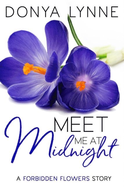 Donya Lynne - Meet Me at Midnight, E-bok