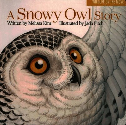 Melissa Kim - A Snowy Owl Story, Kartonnage