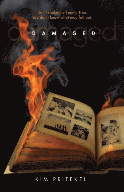 Kim Pritekel - Damaged, E-bok