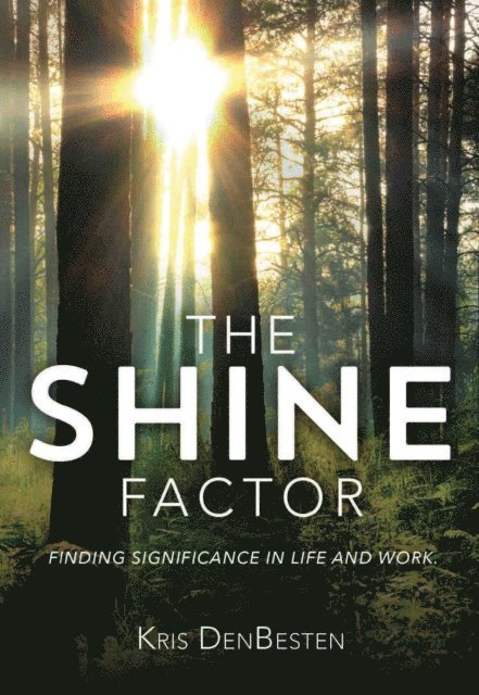 Kris DenBesten - Shine Factor, E-bok