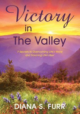 Diana S Furr - Victory in The Valley, Häftad