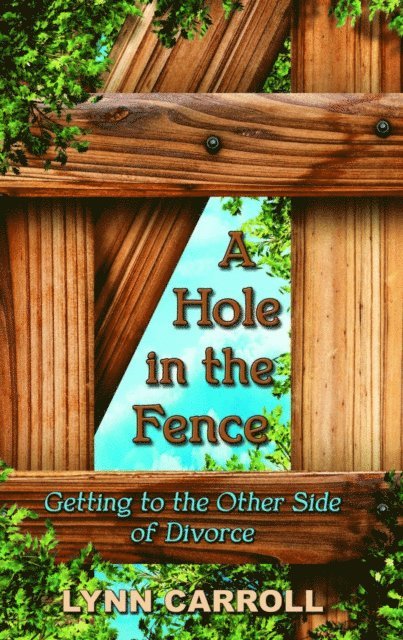 Lynn Carroll - Hole in the Fence, E-bok