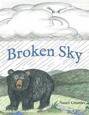 Nancy Crumley - Broken Sky, Häftad. Tillgänglighet: Lägg i varukorg