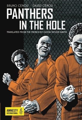 Bruno Cénou, David Cénou - Panthers in the Hole, Häftad