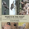 What's in the hole? Critters of the Sonoran Desert: with names in the languages of O'odham, Science, Spanish, and English