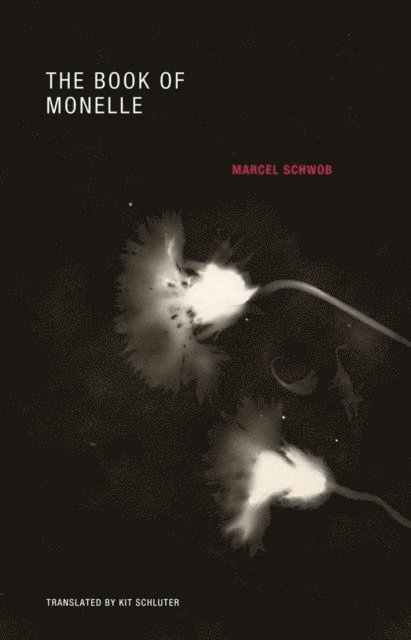 Marcel Schwob - Book of Monelle, E-bok