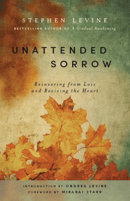 Stephen Levine - Unattended Sorrow, E-bok