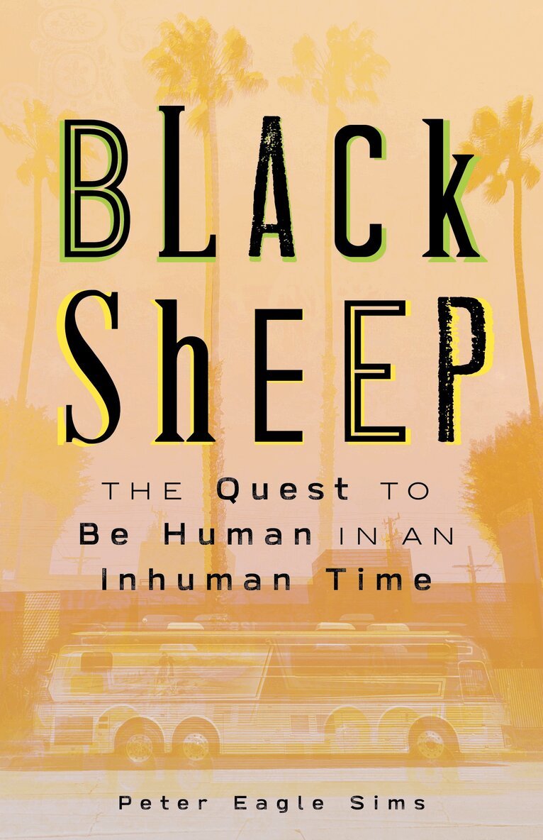 Peter Sims - Black Sheep, Inbunden