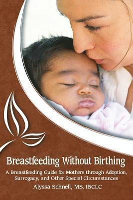 Alyssa Schnell - Breastfeeding Without Birthing: A Breastfeeding Guide for Mothers through Adoption, Surrogacy, and Other Special Circumstances, Häftad