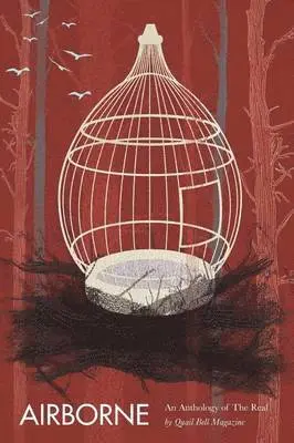 Christine Stoddard, Julie Dinisio - Airborne, Häftad. Tillgänglighet: Lägg i varukorg