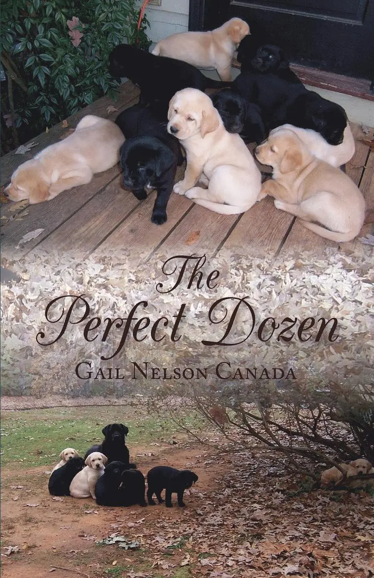 Gail Nelson Canada - Perfect Dozen, Häftad. Tillgänglighet: Lägg i varukorg