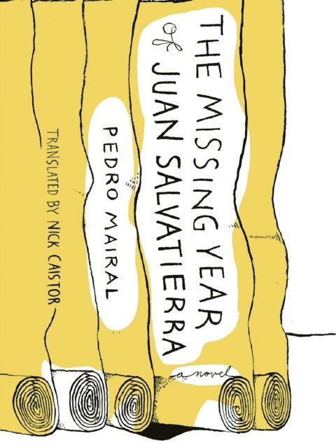 Pedro Mairal - Missing Year of Juan Salvatierra, E-bok