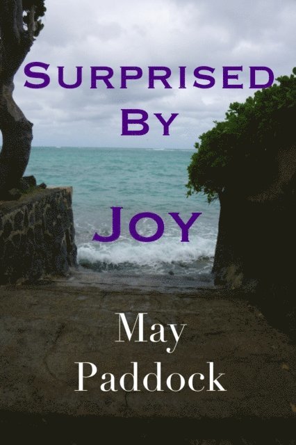 May Paddock - Surprised by Joy, E-bok