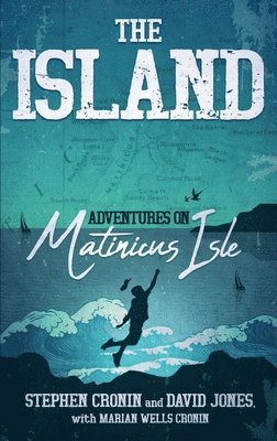 Stephen Cronin, David Jones - Island, Häftad