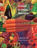 A Guide to Vegan Nutrition