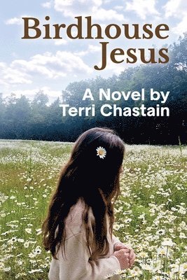 Terri Chastain - Birdhouse Jesus, Häftad