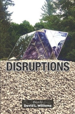 David L Williams - Disruptions, Häftad. Tillgänglighet: Lägg i varukorg