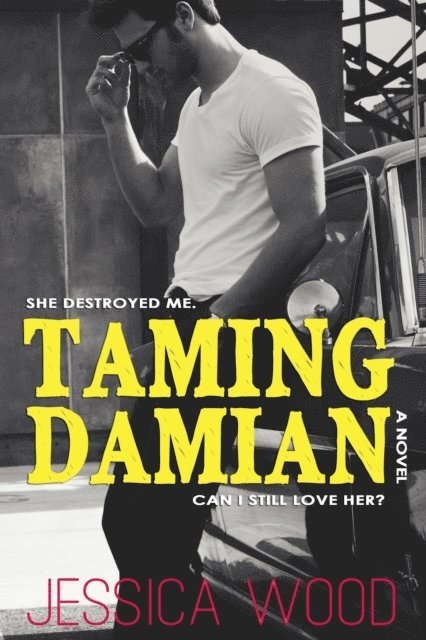 Jessica Wood - Taming Damian, E-bok