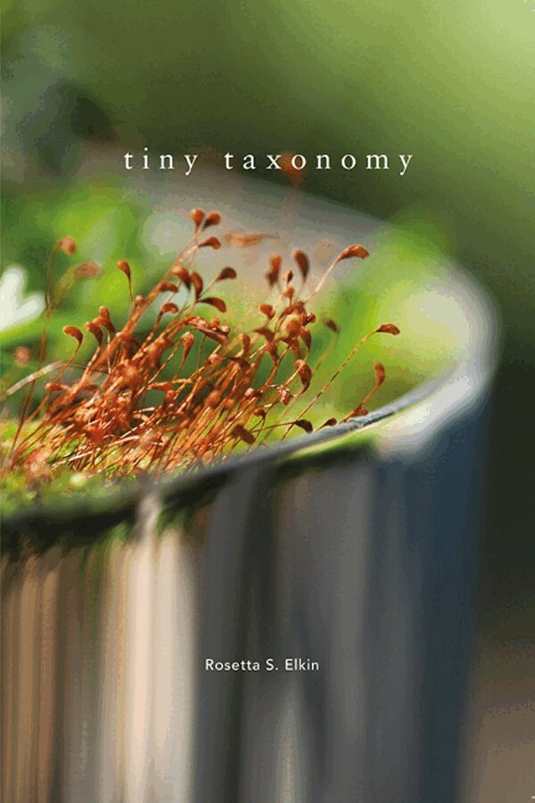 Rosetta S. Elkin - Tiny Taxonomy, Inbunden