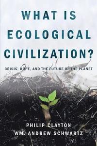 What is Ecological Civilization