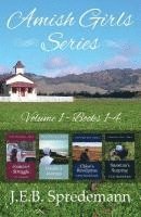 J. E. B. Spredemann, Jennifer Spredemann - Amish Girls Series - Volume 1 (Books 1-4), Häftad. Tillgänglighet: Lägg i varukorg
