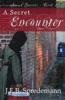 J. E. B. Spredemann, Jennifer Spredemann - A Secret Encounter (Amish Secrets #2), Häftad. Tillgänglighet: Lägg i varukorg