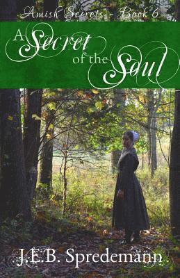 J E B Spredemann - Secret of the Soul (Amish Secrets - Book 6), Häftad. Tillgänglighet: Lägg i varukorg