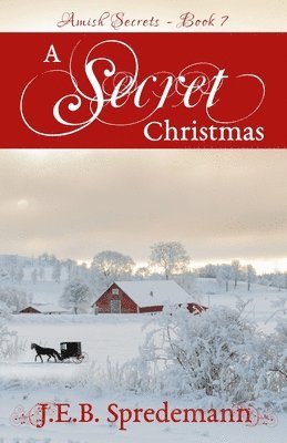 J E B Spredemann - Secret Christmas (Amish Secrets 7), Häftad. Tillgänglighet: Lägg i varukorg