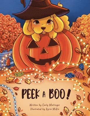 Carly Mottinger - Peek a Boo!, Häftad
