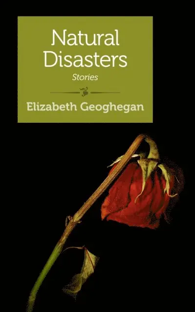 Elizabeth Geoghegan - Natural Disasters, E-bok. Tillgänglighet: Lägg i varukorg