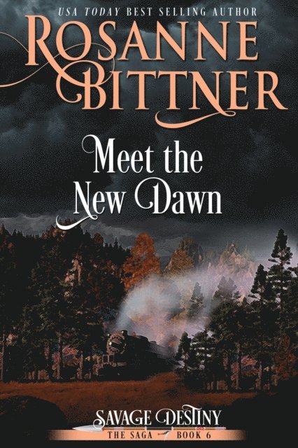 Rosanne Bittner - Meet the New Dawn, E-bok