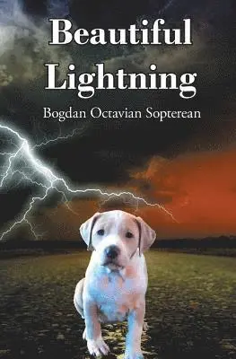 Bogdan Octavian Sopterean - Beautiful Lightning, Häftad. Tillgänglighet: Lägg i varukorg