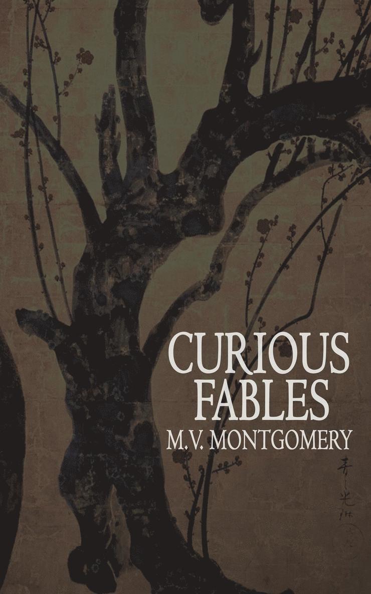 M V Montgomery - Curious Fables, Häftad