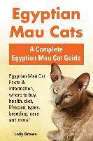 Egyptian Mau Cats: Egyptian Mau Cat Facts & Information, where to buy, health, diet, lifespan, types, breeding, care and more! A Complete