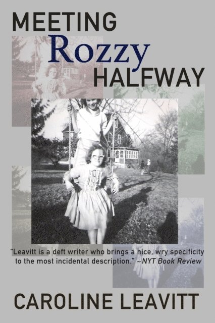 Caroline Leavitt - Meeting Rozzy Halfway, E-bok