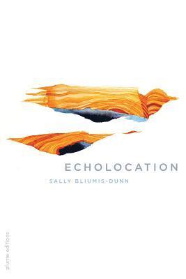 Sally Bliumis-Dunn - Echolocation, Häftad