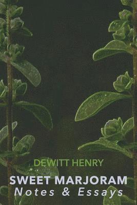 DeWitt Henry - Sweet Marjoram, Häftad