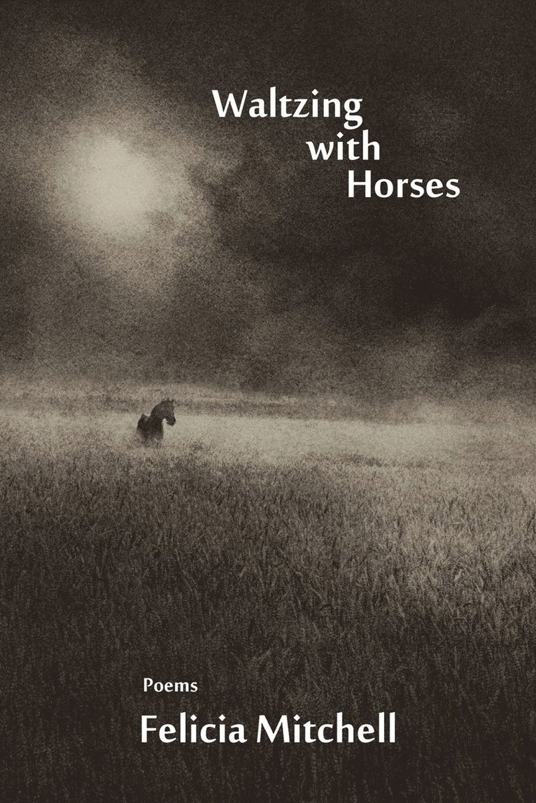 Felicia Mitchell - Waltzing with Horses, Häftad. Tillgänglighet: Lägg i varukorg