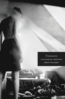 Grant Faulkner - Fissures, Häftad