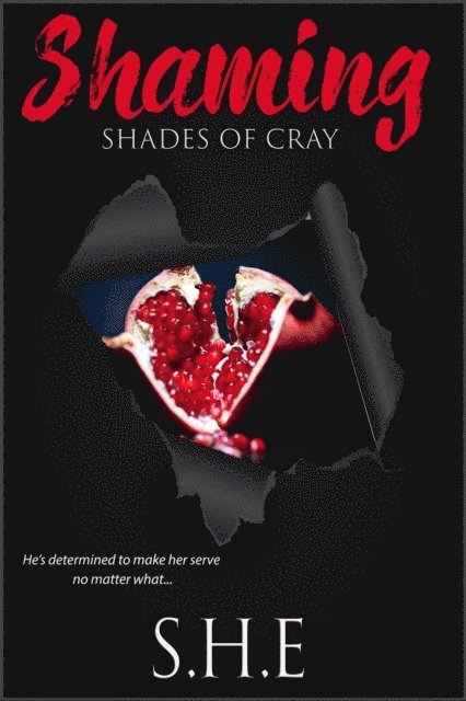 SHE - Shaming, E-bok