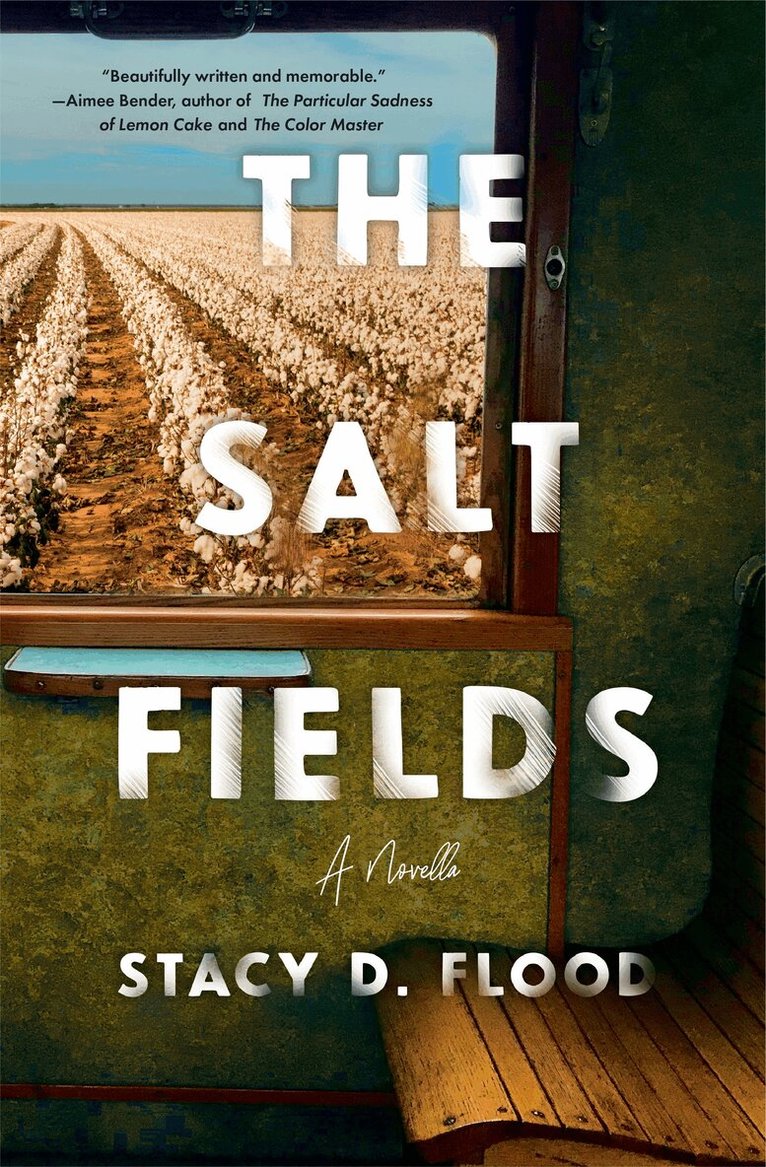 Stacy Flood - Salt Fields, Häftad